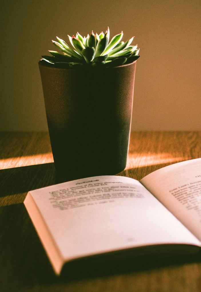 Mental Health Awareness&nbsp;Week